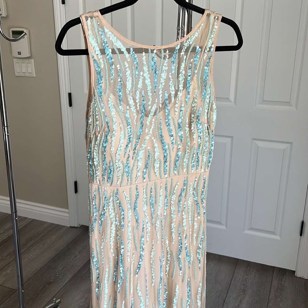 Beautiful Adrianna Papell dress!